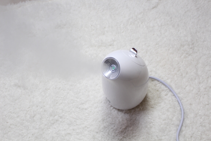 家庭用スチーマー